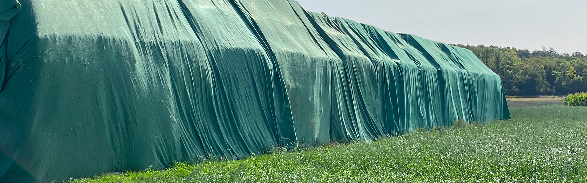 Tarpaulins for Protecting Crops, Equipment & Livestock